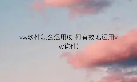 vw软件怎么运用(如何有效地运用vw软件)