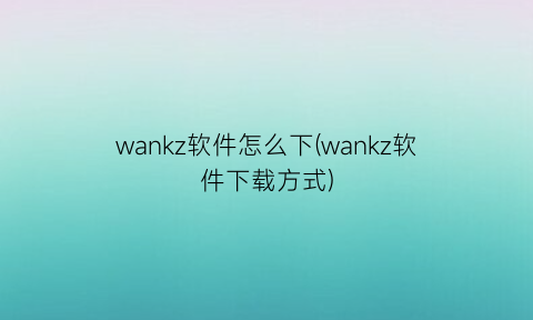 wankz软件怎么下(wankz软件下载方式)