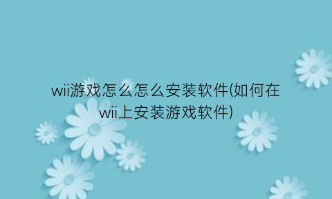 “wii游戏怎么怎么安装软件(如何在wii上安装游戏软件)