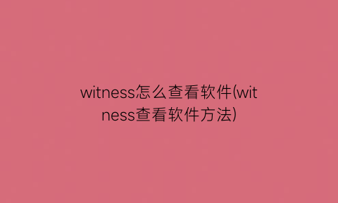 witness怎么查看软件(witness查看软件方法)