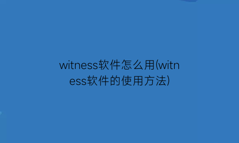 witness软件怎么用(witness软件的使用方法)