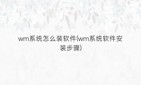 “wm系统怎么装软件(wm系统软件安装步骤)