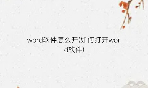 “word软件怎么开(如何打开word软件)