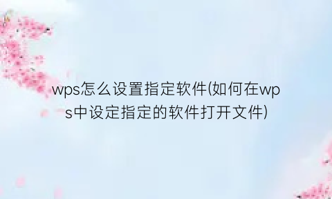 wps怎么设置指定软件(如何在wps中设定指定的软件打开文件)