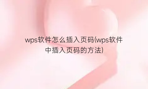 wps软件怎么插入页码(wps软件中插入页码的方法)