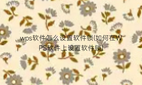 “wps软件怎么设置软件锁(如何在WPS软件上设置软件锁)