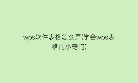 wps软件表格怎么弄(学会wps表格的小窍门)