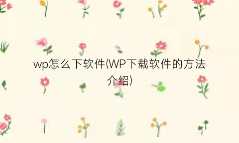 wp怎么下软件(WP下载软件的方法介绍)