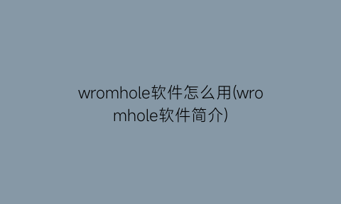 wromhole软件怎么用(wromhole软件简介)