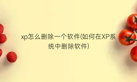 “xp怎么删除一个软件(如何在XP系统中删除软件)