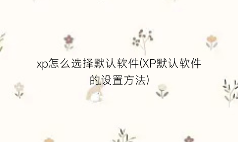 xp怎么选择默认软件(XP默认软件的设置方法)