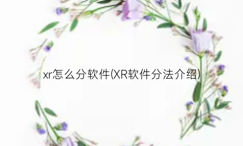 “xr怎么分软件(XR软件分法介绍)