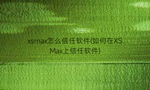 “xsmax怎么信任软件(如何在XSMax上信任软件)