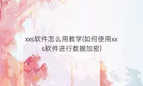 xxs软件怎么用教学(如何使用xxs软件进行数据加密)