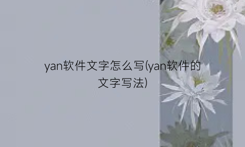 yan软件文字怎么写(yan软件的文字写法)