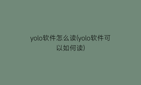 yolo软件怎么读(yolo软件可以如何读)