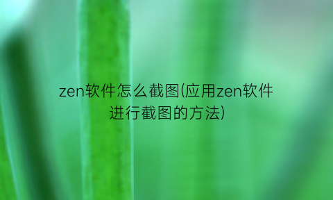 zen软件怎么截图(应用zen软件进行截图的方法)