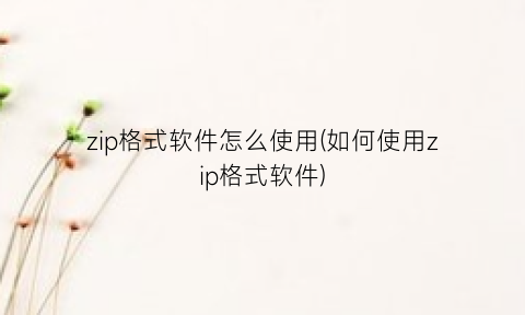 “zip格式软件怎么使用(如何使用zip格式软件)