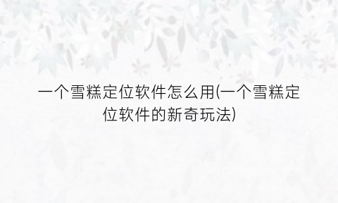 “一个雪糕定位软件怎么用(一个雪糕定位软件的新奇玩法)