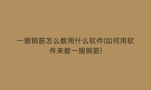 一捆钢筋怎么数用什么软件(如何用软件来数一捆钢筋)