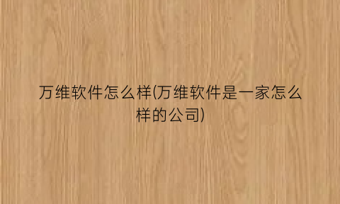 万维软件怎么样(万维软件是一家怎么样的公司)