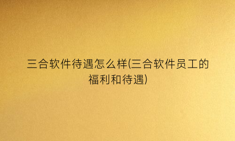 三合软件待遇怎么样(三合软件员工的福利和待遇)