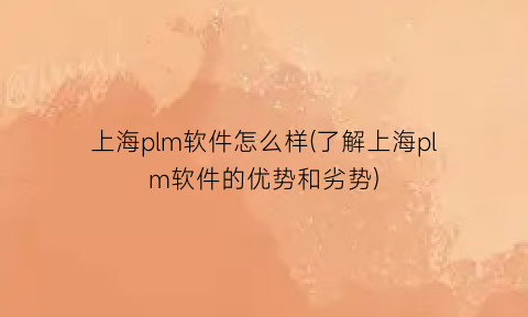 “上海plm软件怎么样(了解上海plm软件的优势和劣势)