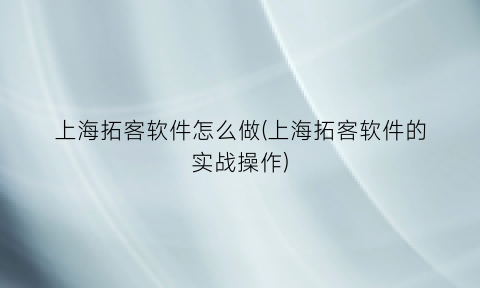 上海拓客软件怎么做(上海拓客软件的实战操作)
