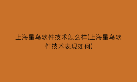 “上海星鸟软件技术怎么样(上海星鸟软件技术表现如何)