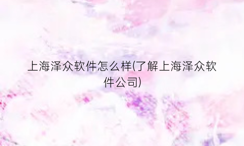 上海泽众软件怎么样(了解上海泽众软件公司)