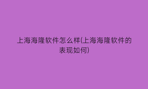 “上海海隆软件怎么样(上海海隆软件的表现如何)