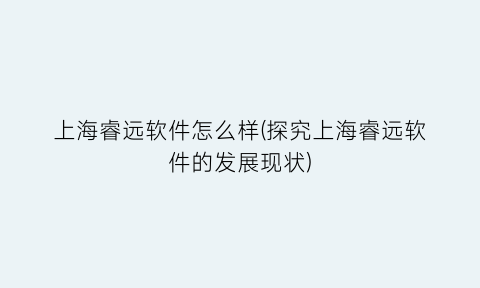 “上海睿远软件怎么样(探究上海睿远软件的发展现状)