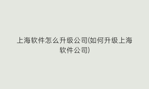 上海软件怎么升级公司(如何升级上海软件公司)