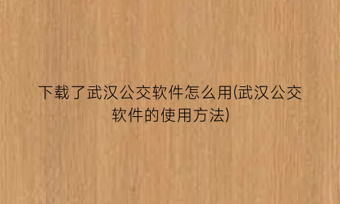 下载了武汉公交软件怎么用(武汉公交软件的使用方法)