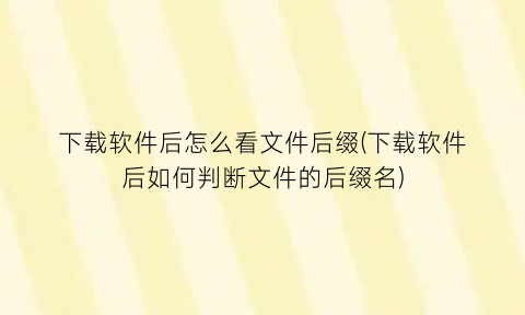 下载软件后怎么看文件后缀(下载软件后如何判断文件的后缀名)