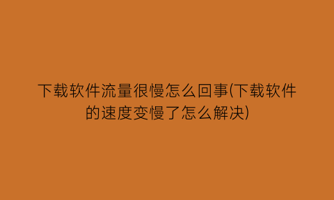 下载软件流量很慢怎么回事(下载软件的速度变慢了怎么解决)