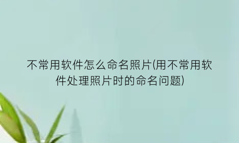 “不常用软件怎么命名照片(用不常用软件处理照片时的命名问题)