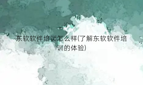 东软软件培训怎么样(了解东软软件培训的体验)