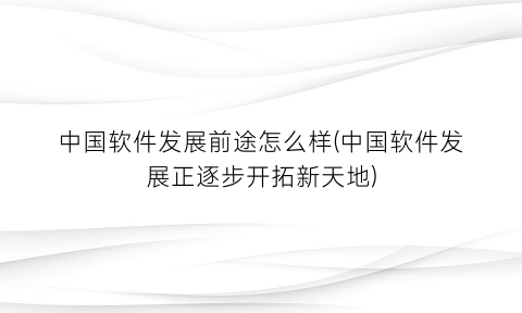 中国软件发展前途怎么样(中国软件发展正逐步开拓新天地)