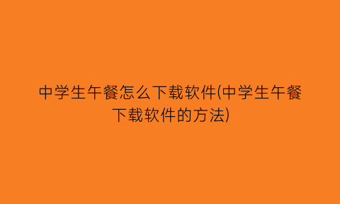 中学生午餐怎么下载软件(中学生午餐下载软件的方法)