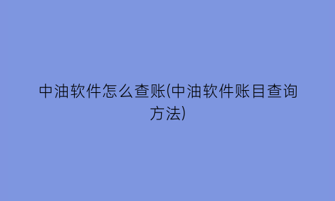 中油软件怎么查账(中油软件账目查询方法)