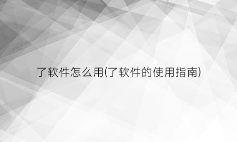 了软件怎么用(了软件的使用指南)