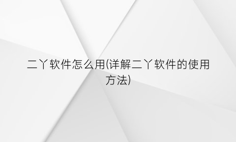 二丫软件怎么用(详解二丫软件的使用方法)