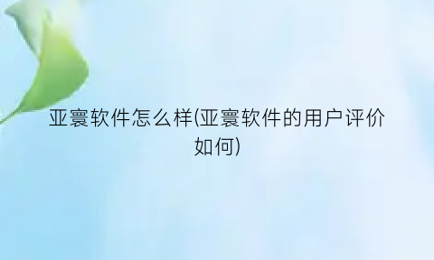 亚寰软件怎么样(亚寰软件的用户评价如何)