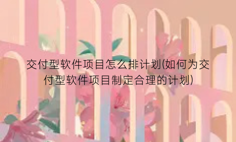 交付型软件项目怎么排计划(如何为交付型软件项目制定合理的计划)