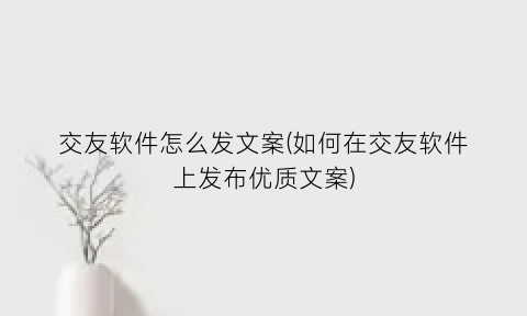“交友软件怎么发文案(如何在交友软件上发布优质文案)