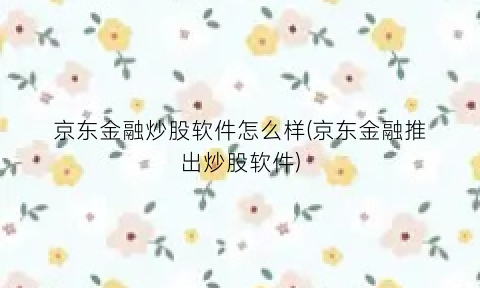 “京东金融炒股软件怎么样(京东金融推出炒股软件)