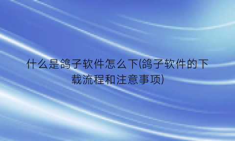 什么是鸽子软件怎么下(鸽子软件的下载流程和注意事项)