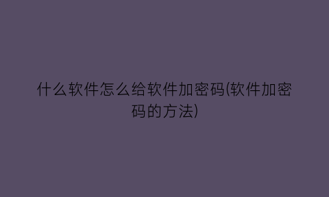 “什么软件怎么给软件加密码(软件加密码的方法)