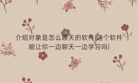 介绍对象是怎么聊天的软件(这个软件能让你一边聊天一边学习吗)